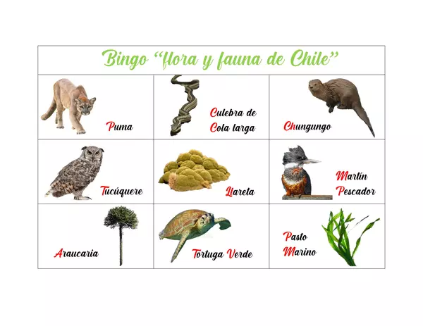 "Bingo flora y fauna nativa de Chile"