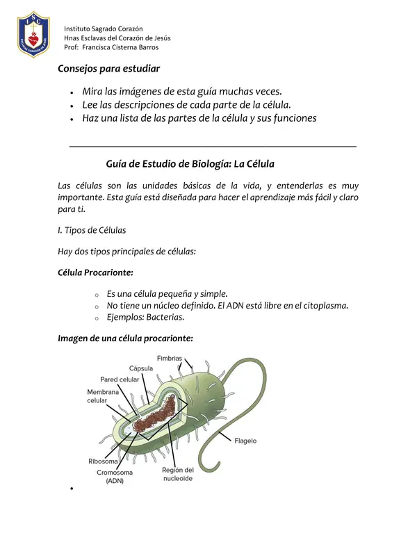 Célula