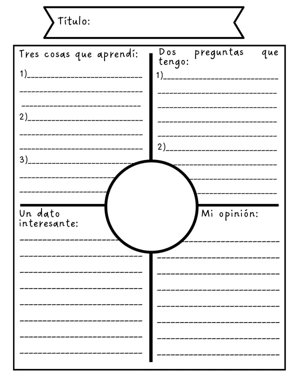 Organizador gráfico