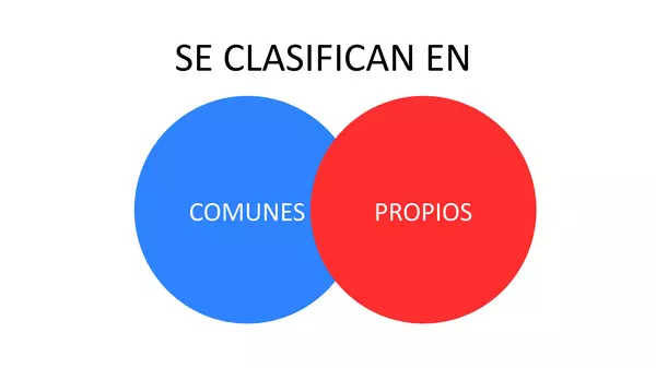 SUSTANTIVOS COMUNES Y PROPIOS