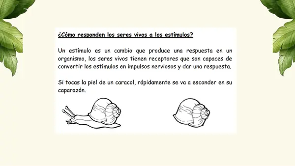 Reacciones de los seres vivos