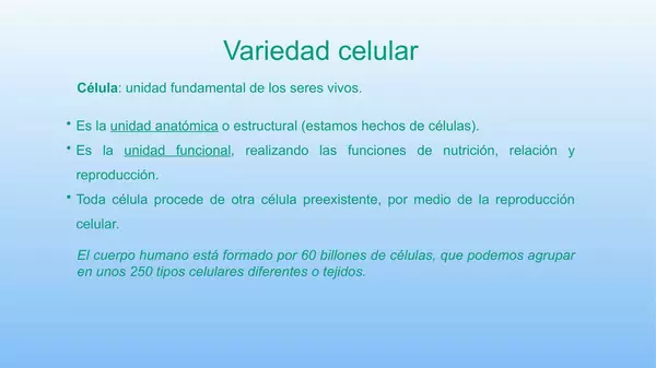 Presentacion  El cuerpo Humano, Octavo Basico, Cs Naturales