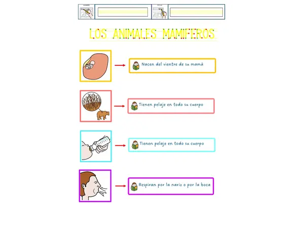 ANIMALES MAMÍFEROS
