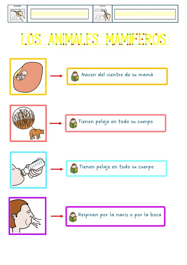 ANIMALES MAMÍFEROS