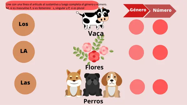 Artículos - sustantivos y adjetivos