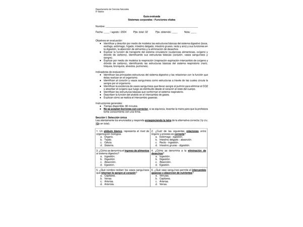 Prueba de Sistemas Corporales || Word || 5° básico