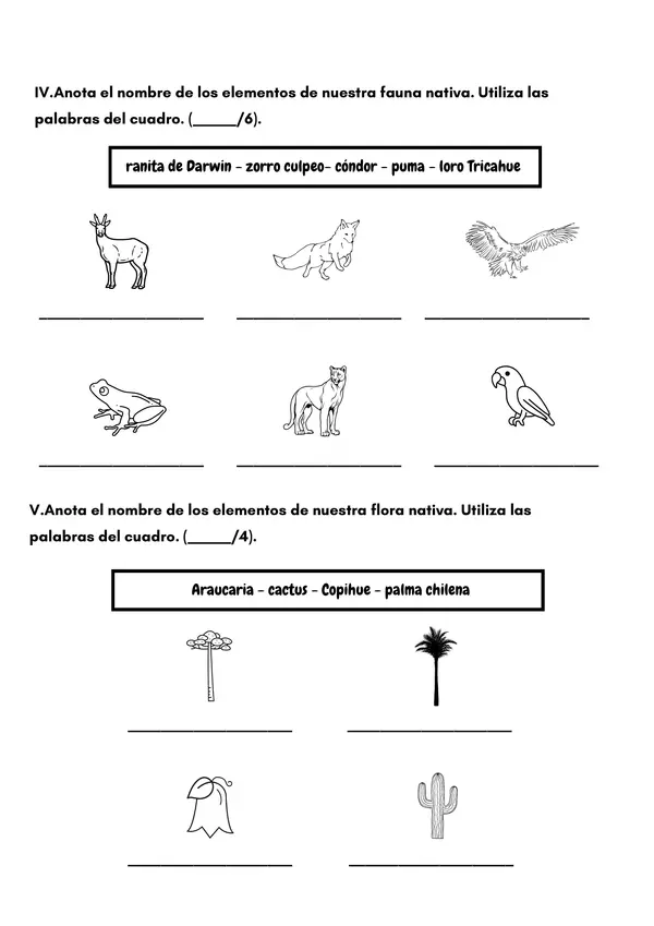 Evaluación: Hábitat, flora y fauna nativa