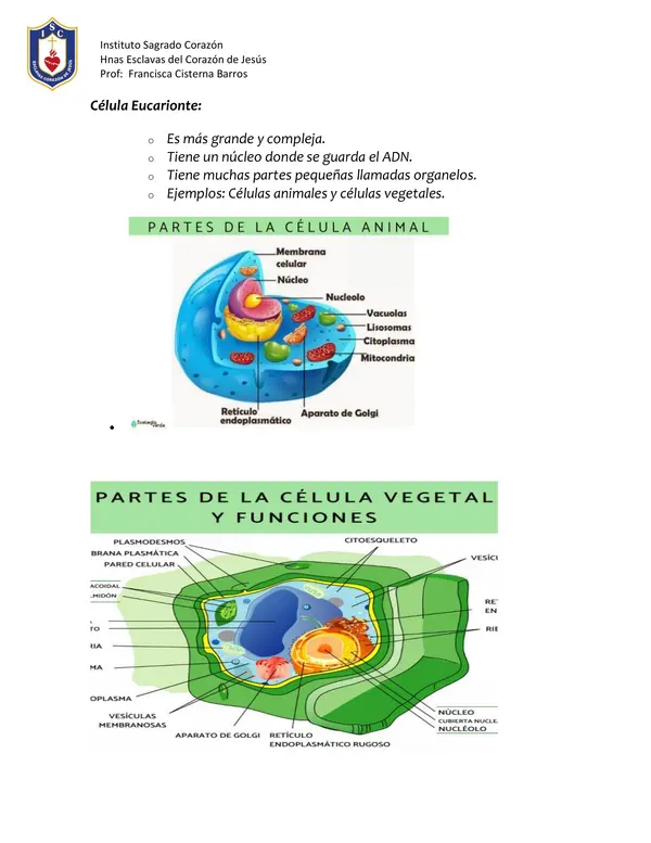 Célula