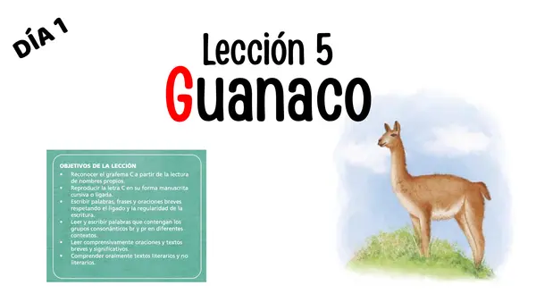 Guanaco Lección 5 Parte 2 Método Matte