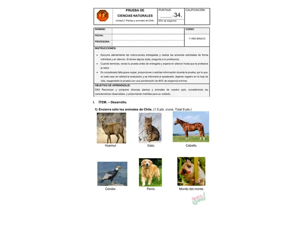 Prueba de Ciencias Naturales Primero básico Plantas y animales de Chile Unidad 2