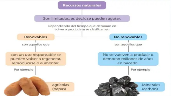 4° Básico "Recursos renovables y no renovables".