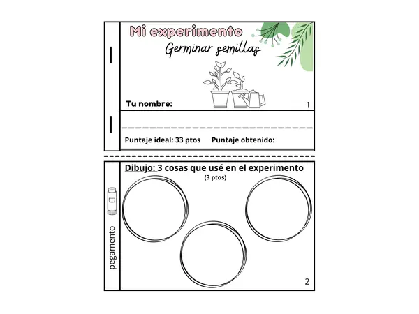 "germinando semillas"