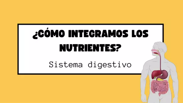 ¿Cómo integramos los nutrientes?