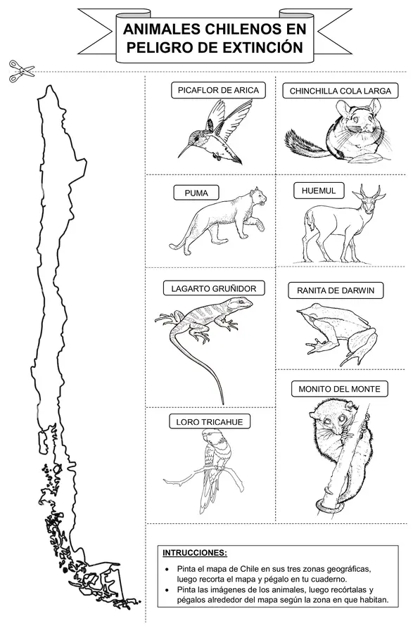 Animales chilenos en peligro de extinción