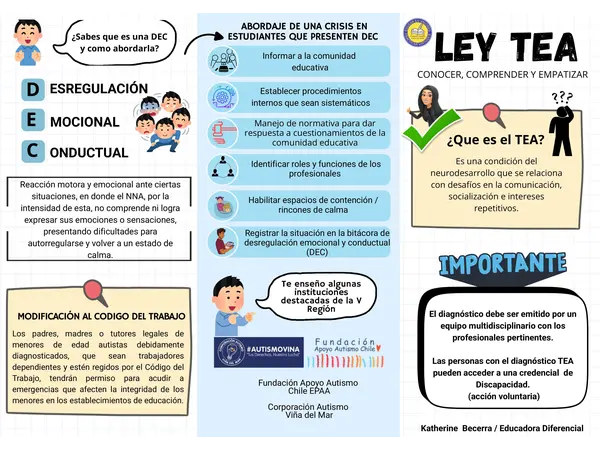 Triptico Autismo y Ley