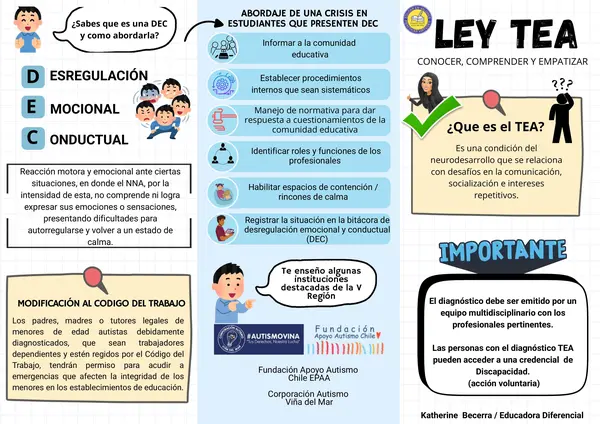 Triptico Autismo y Ley