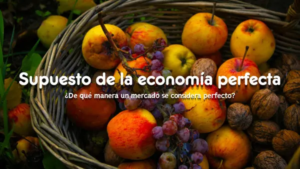 Mercados de Competencia Perfecta | Economía y Sociedad