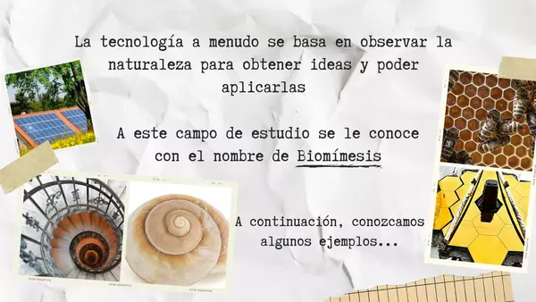 Tecnología inspirada en la naturaleza (Biomímesis) - Tecnología