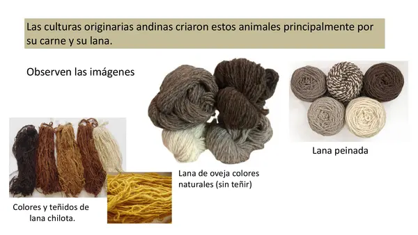 Guanaco Lección 5 Parte 2 Método Matte