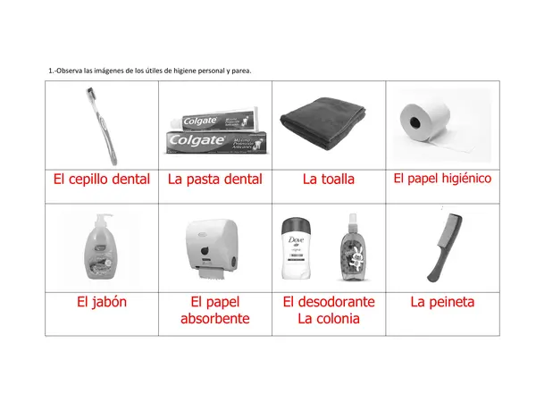 Hábitos de higiene personal - utensilios de aseo personal 