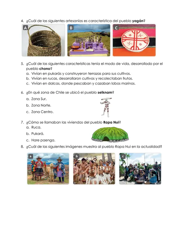 Evaluación Pueblos Originarios