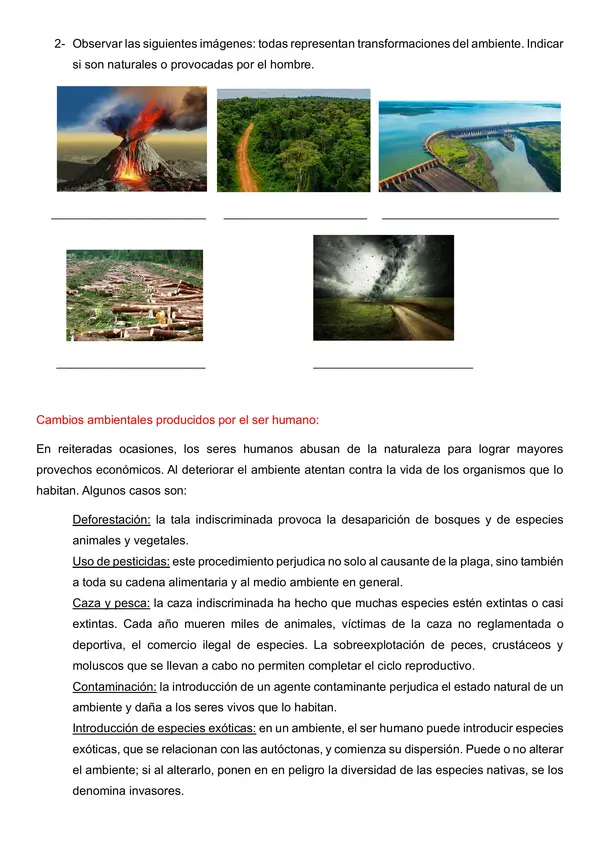 El ser humano como agente modificador del ambiente